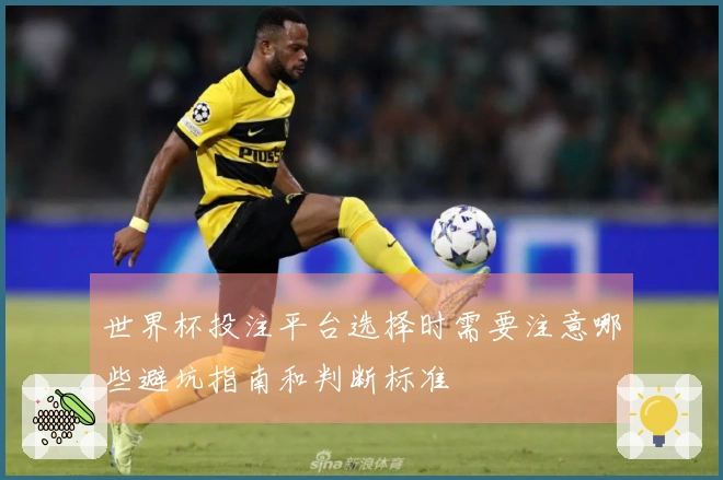 世界杯投注平台选择时需要注意哪些避坑指南和判断标准