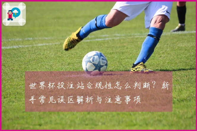 世界杯投注站合规性怎么判断？新手常见误区解析与注意事项