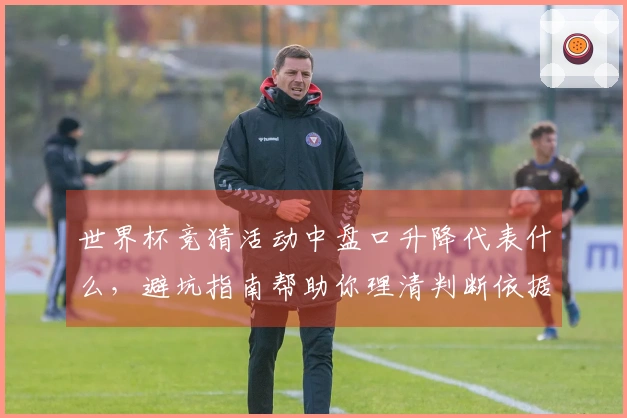 世界杯竞猜活动中盘口升降代表什么，避坑指南帮助你理清判断依据