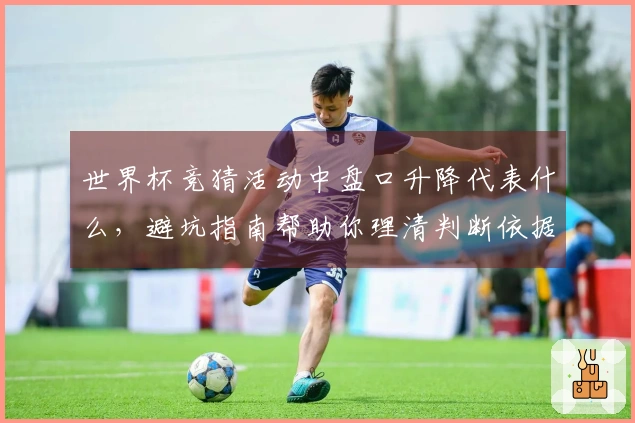 世界杯竞猜活动中盘口升降代表什么，避坑指南帮助你理清判断依据